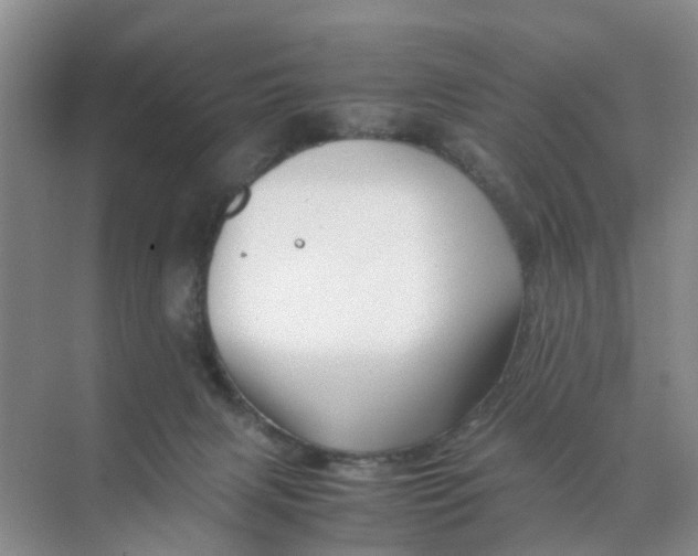 X0000070170079200606162107