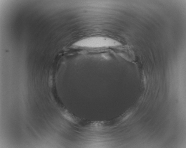 X0000070170080200606162107