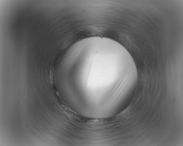 X0000070170082200606162107