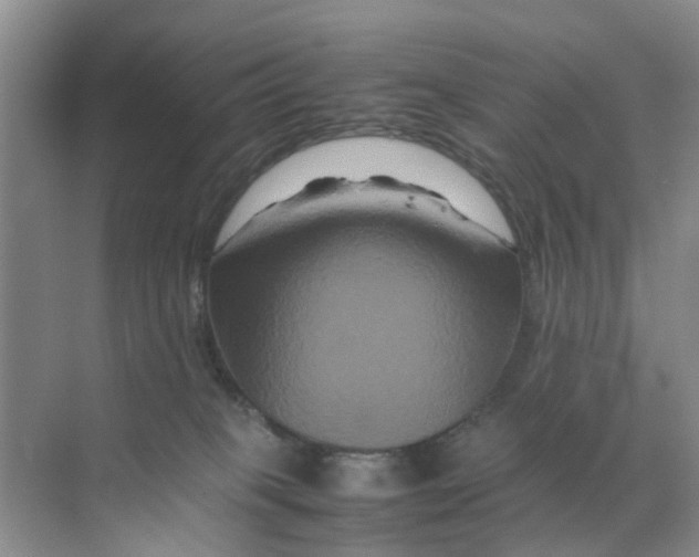 X0000070170085200606162107