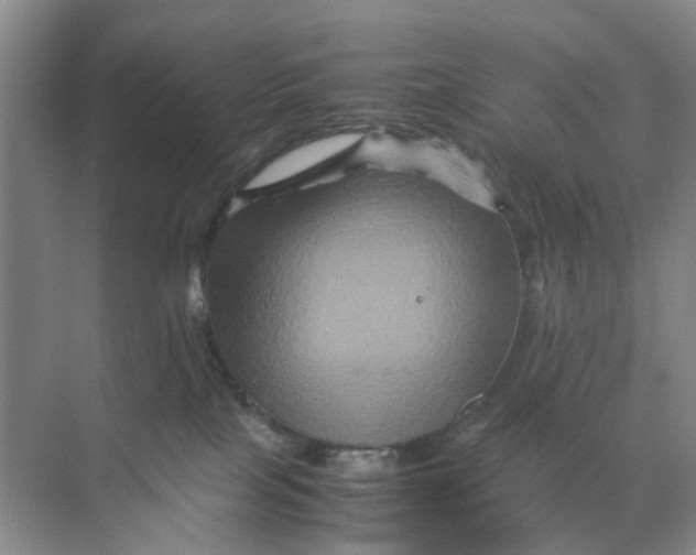 X0000070170089200606162107