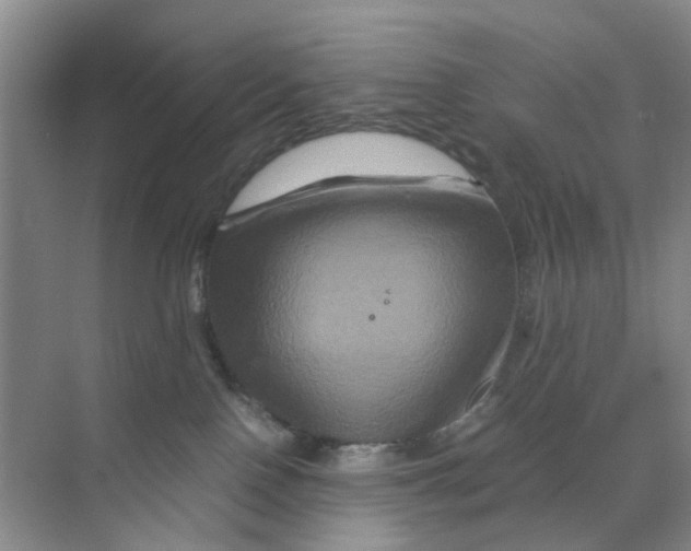 X0000070170090200606162107