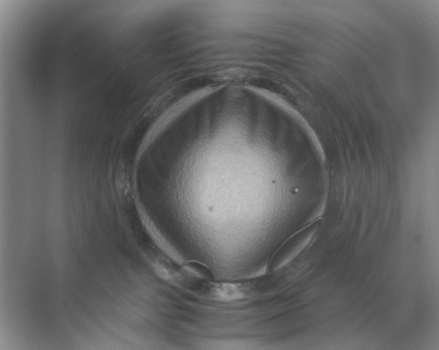 X0000070170091200606162107