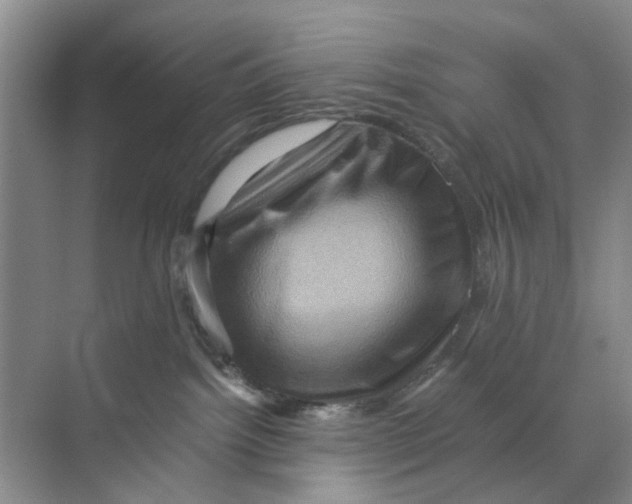 X0000070170092200606162107