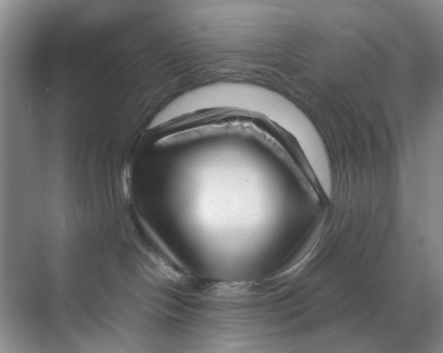 X0000070170094200606162107