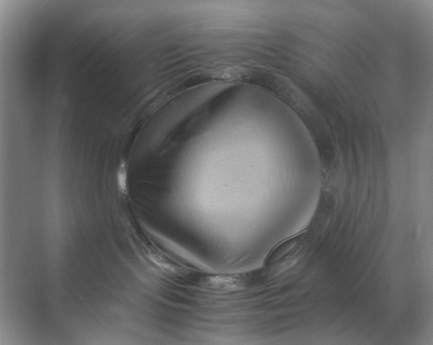 X0000070170095200606162107