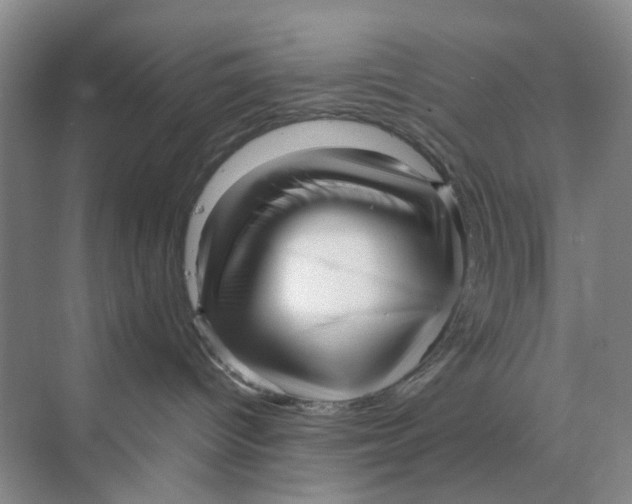 X0000070170096200606162107