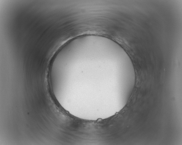 X0000070170098200606162106