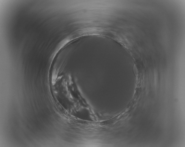 X0000070170099200606162106