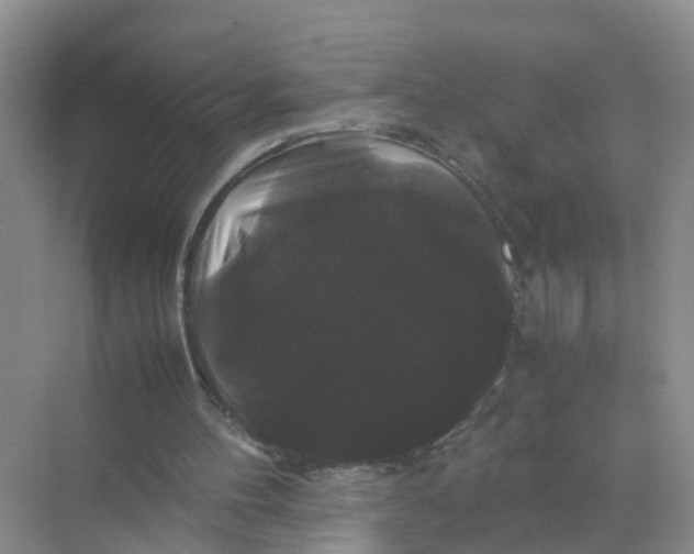 X0000070170100200606162106