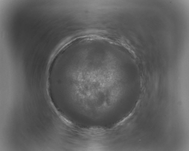 X0000070170101200606162106