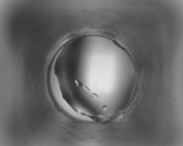 X0000070170103200606162106