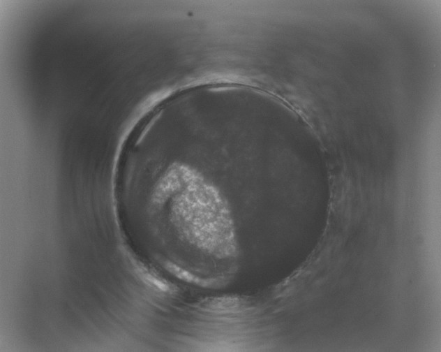 X0000070170104200606162106