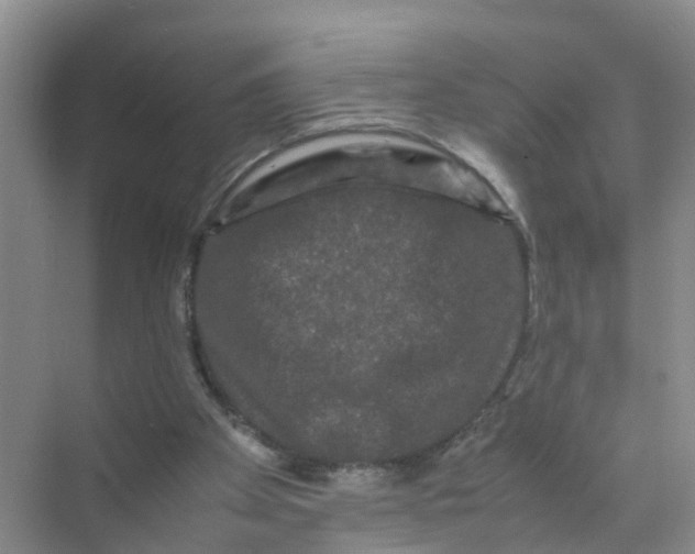 X0000070170105200606162106