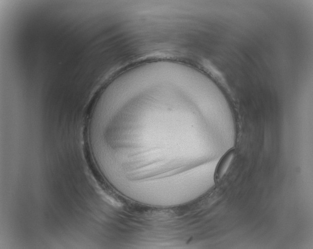 X0000070170106200606162106