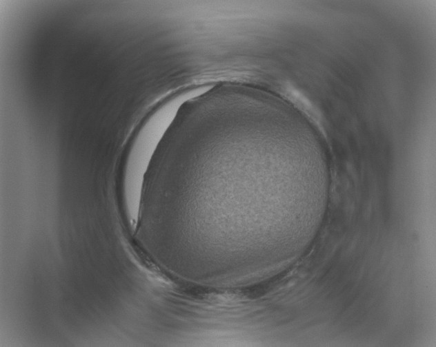 X0000070170107200606162106