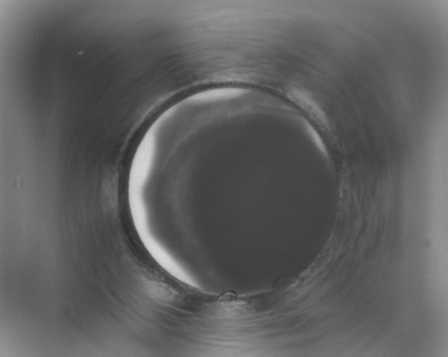 X0000070170108200606162106