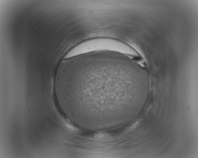 X0000070170109200606162106