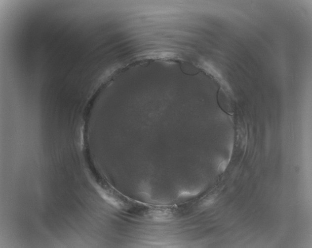 X0000070170110200606162106