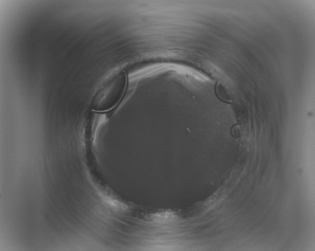 X0000070170112200606162106