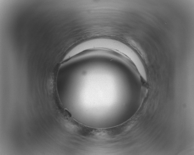 X0000070170113200606162106