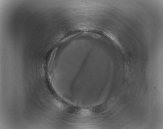 X0000070170114200606162106