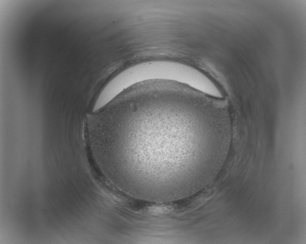 X0000070170115200606162106