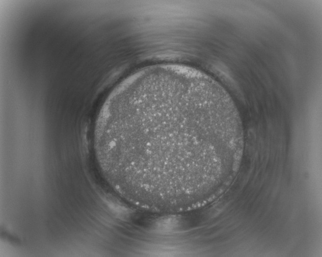 X0000070170116200606162106