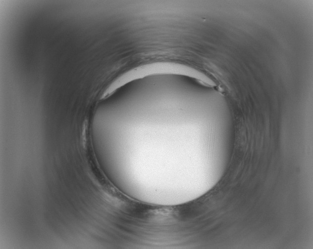 X0000070170118200606162106