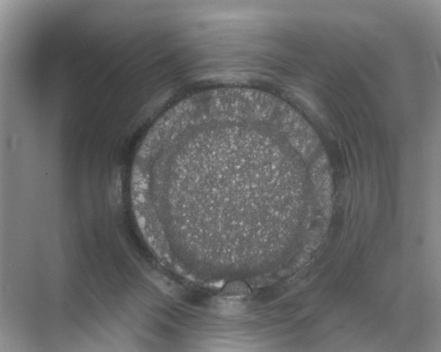 X0000070170120200606162106