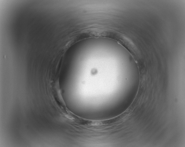 X0000070170121200606162106