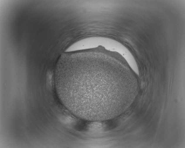 X0000070170123200606162106