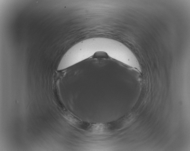 X0000070170127200606162106