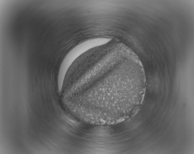 X0000070170128200606162106