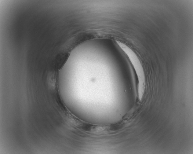 X0000070170129200606162106