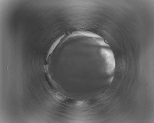 X0000070170130200606162106