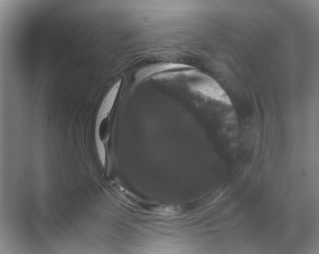 X0000070170131200606162106