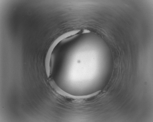 X0000070170133200606162106