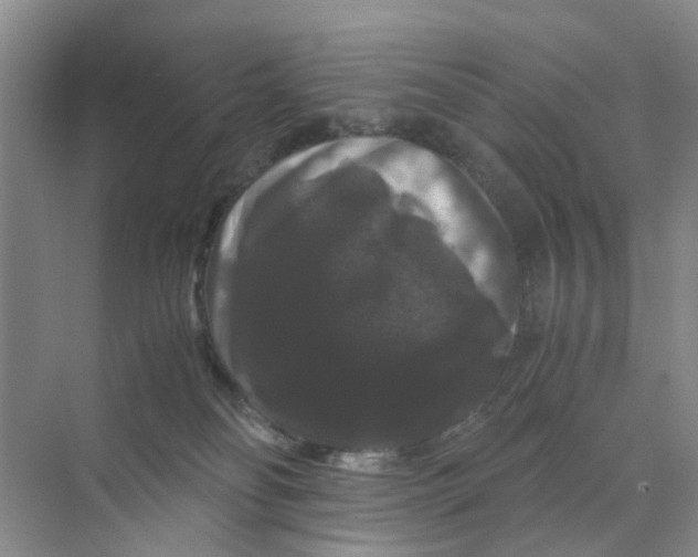 X0000070170134200606162106