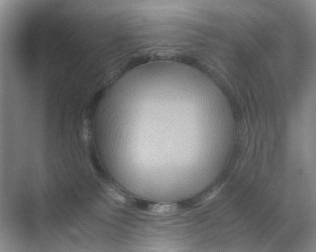 X0000070170135200606162106