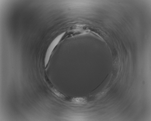 X0000070170137200606162106