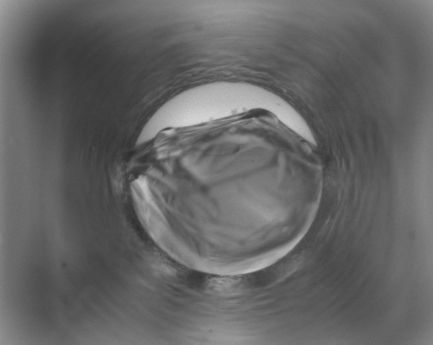 X0000070170139200606162106