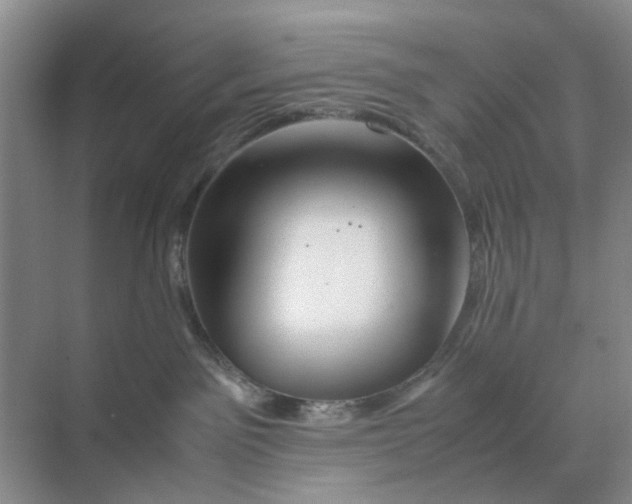 X0000070170141200606162106