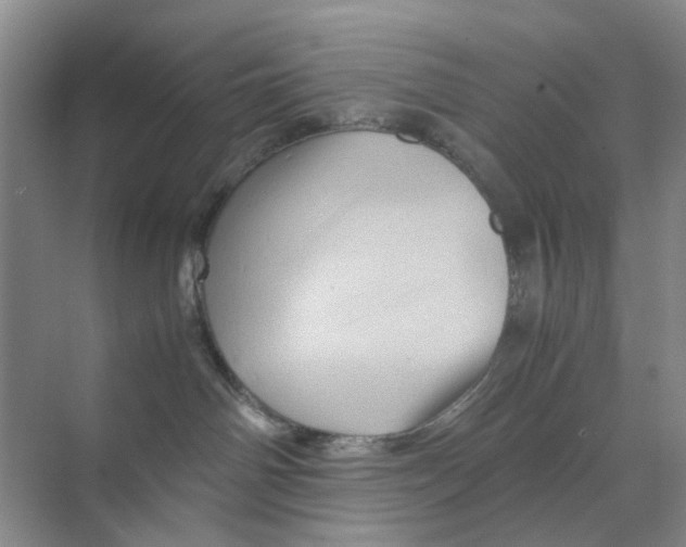 X0000070170142200606162106