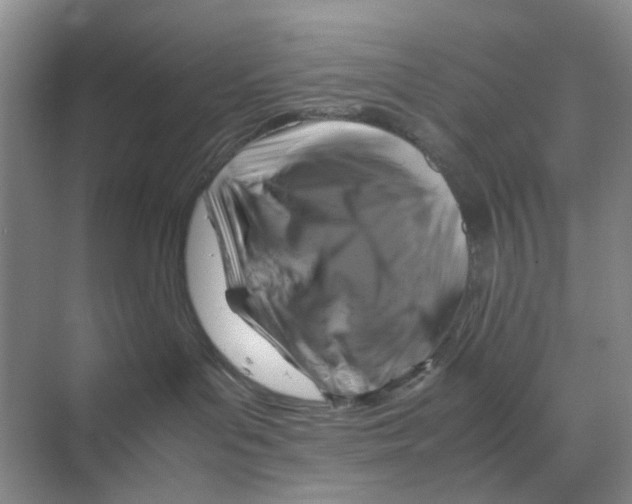 X0000070170143200606162106