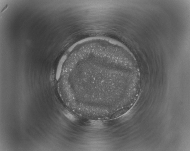 X0000070170144200606162105