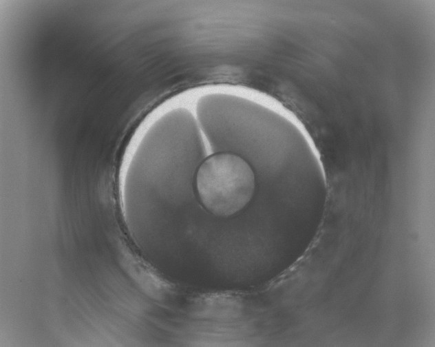 X0000070170146200606162105