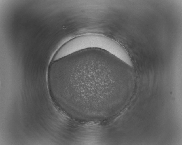 X0000070170148200606162105