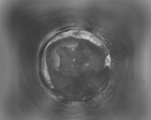 X0000070170149200606162105