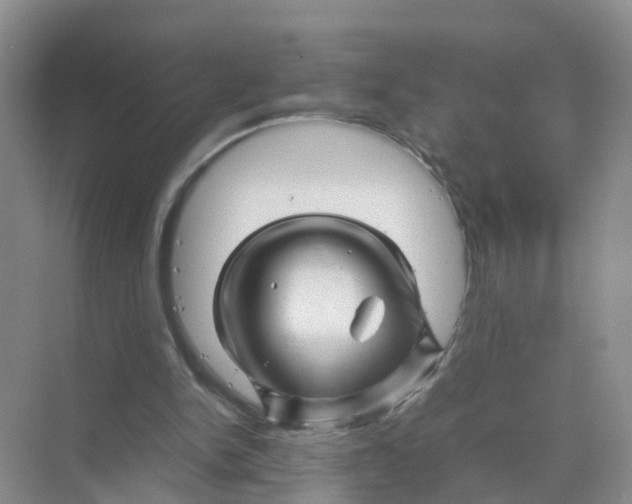 X0000070170150200606162105